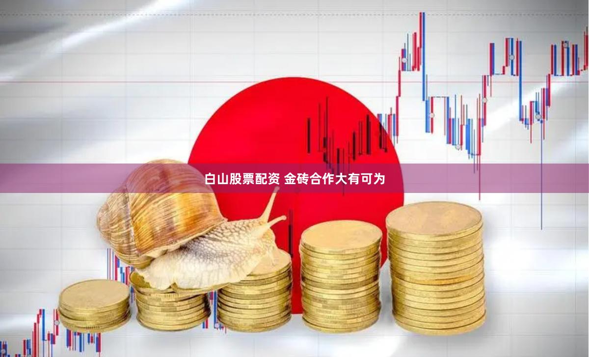 白山股票配資 金磚合作大有可為